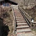 Eulennest