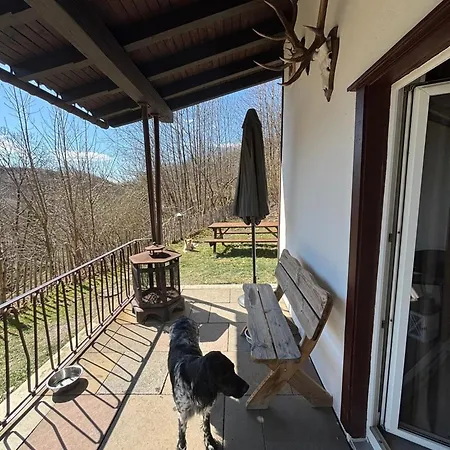 Eulennest Sankt Andreasberg