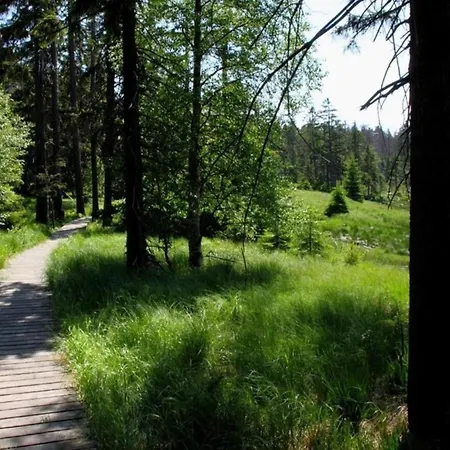 Eulennest Sankt Andreasberg