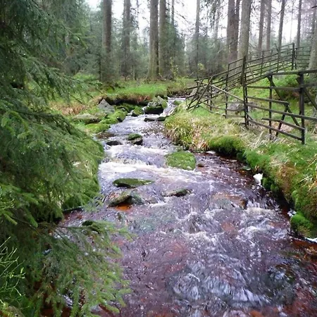 Vakantiehuis Eulennest *