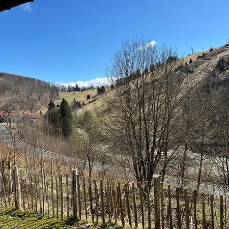 Eulennest Sankt Andreasberg