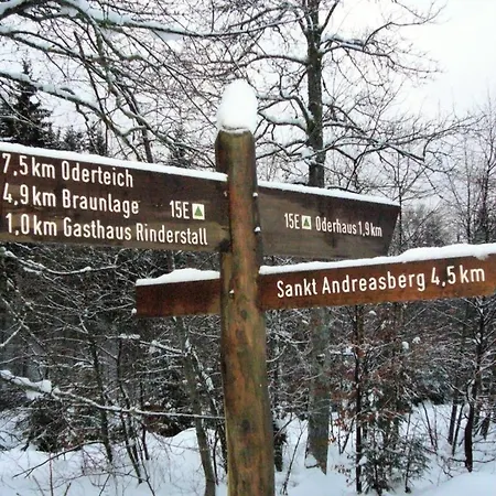 Vakantiehuis Eulennest