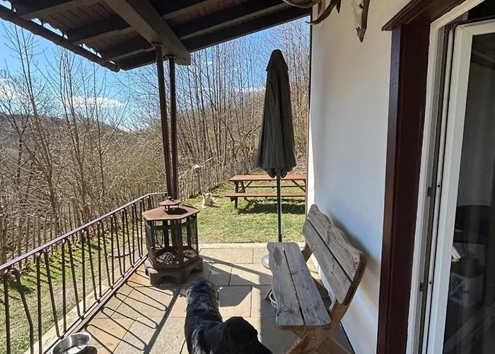 Eulennest Sankt Andreasberg