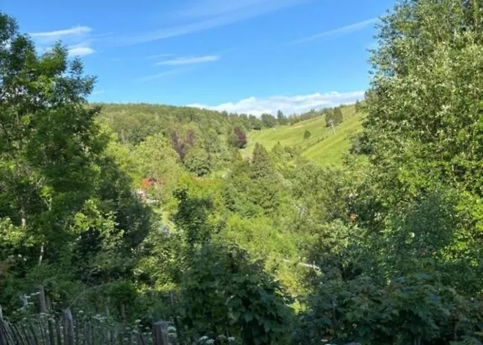 Tatil Evi Eulennest *