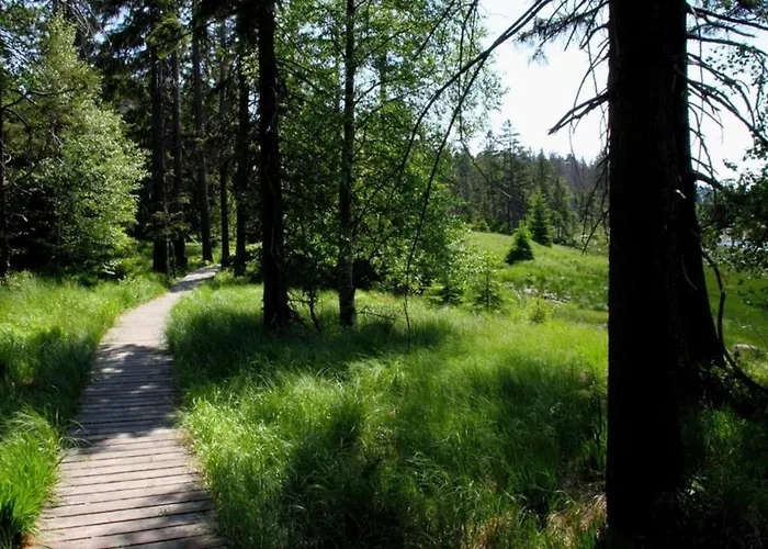 Eulennest Sankt Andreasberg