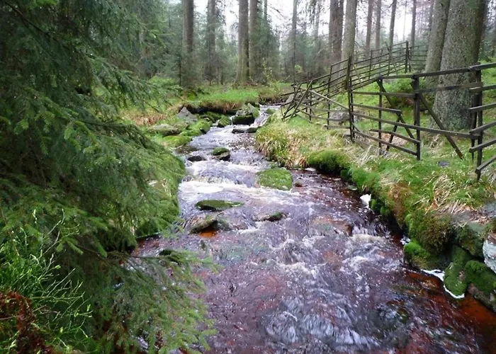 Tatil Evi Eulennest *