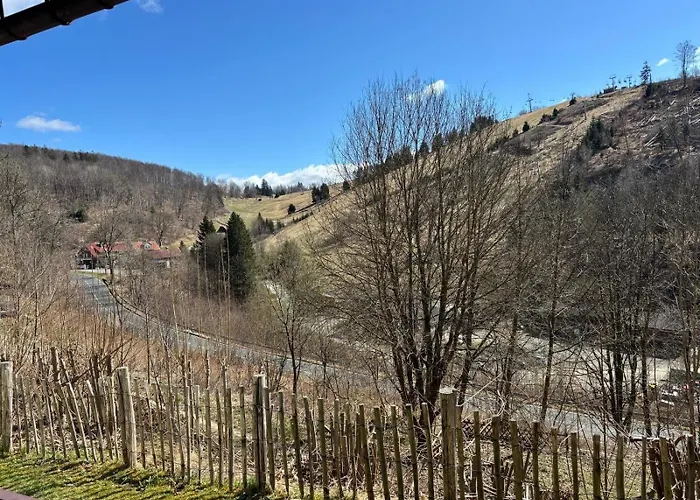 Eulennest Sankt Andreasberg