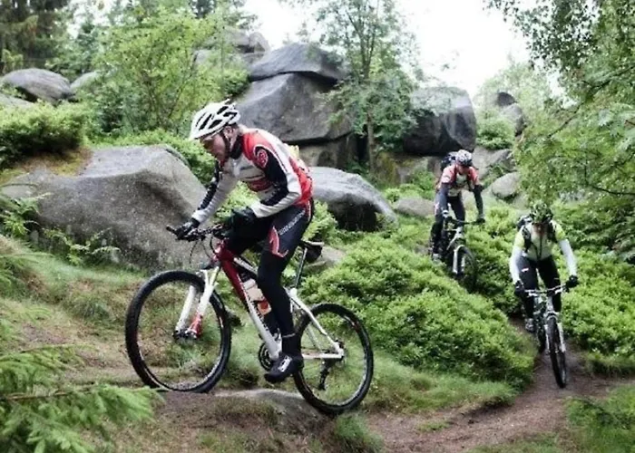 Tatil Evi Eulennest *